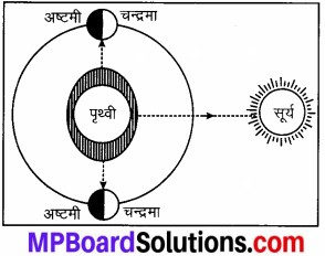 MP Board Class 7th Social Science Solutions Chapter 21 समुद्र की गतियाँ-3