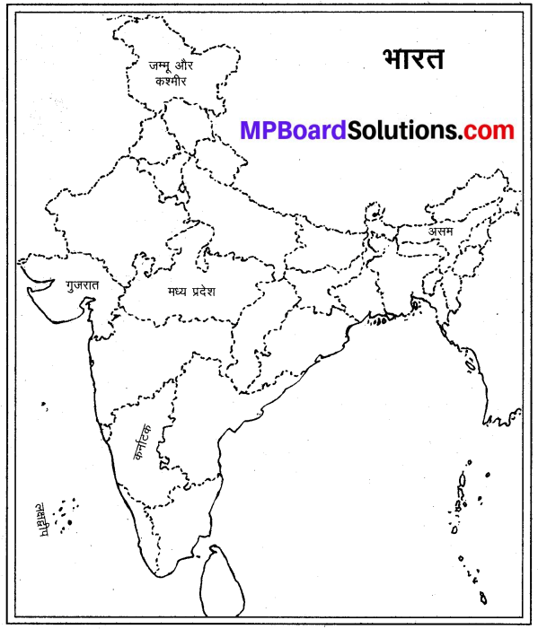 MP Board Class 9th Social Science Solutions Chapter 8 मानचित्र पठन एवं अंकन - 8