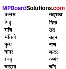 MP Board Class 6th Hindi Bhasha Bharti Solutions Chapter 14 नारियल का बगीचा-केरल 1