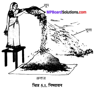 MP Board Class 6th Science Solutions Chapter 5 पदार्थों का पृथक्करण 1