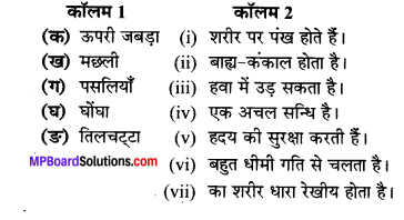 MP Board Class 6th Science Solutions Chapter 8 शरीर में गति 1