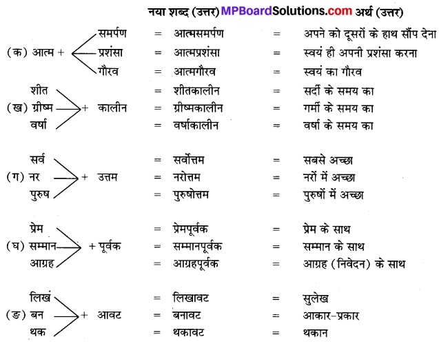 MP Board Class 7th Hindi Bhasha Bharti Solutions Chapter 16 नरबदी 2
