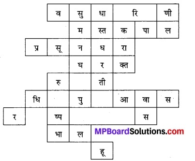 Class 7 Hindi कुछ और भी दूँ Chhattisgarh State Board Solutions
