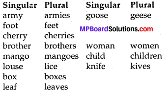 English Is Amazing Poem Summary MP Board Class 8