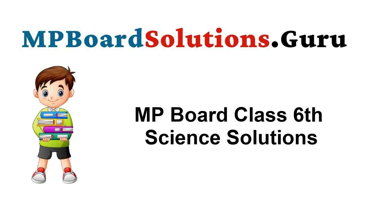 MP Board Class 6th Science Solutions विज्ञान