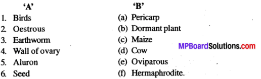 MP Board Class 12th Biology Solutions Chapter 1 Reproduction in Organisms 2