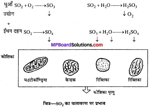MP Board Class 12th Biology Solutions Chapter 16 पर्यावरण के मुद्दे 1