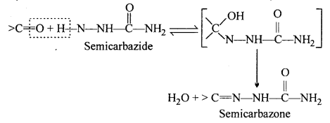 MP Board Class 12th Chemistry Solutions Chapter 12 Aldehydes, Ketones and Carboxylic Acids 15
