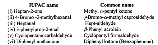 MP Board Class 12th Chemistry Solutions Chapter 12 Aldehydes, Ketones and Carboxylic Acids 31