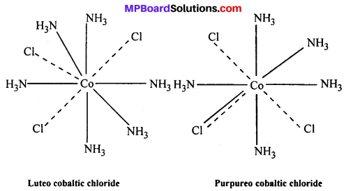 MP Board Class 12th Chemistry Solutions Chapter 9 Coordination Compounds 10