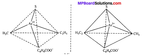 MP Board Class 12th Chemistry Solutions Chapter 9 Coordination Compounds 14