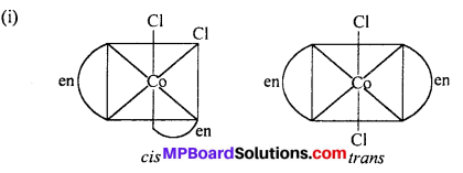 MP Board Class 12th Chemistry Solutions Chapter 9 Coordination Compounds 19