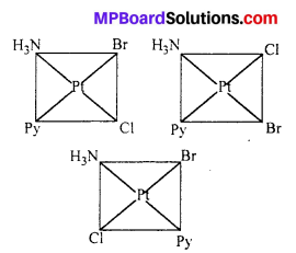 MP Board Class 12th Chemistry Solutions Chapter 9 Coordination Compounds 23
