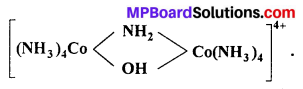 MP Board Class 12th Chemistry Solutions Chapter 9 Coordination Compounds 58