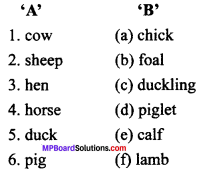 MP Board Class 6th General English Revision Exercises 2 img-1