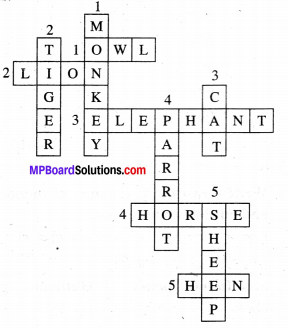 MP Board Class 6th General English Solutions Chapter 8 The Elephant img-1