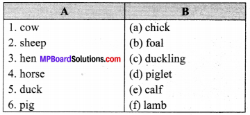 MP Board Class 6th General English Solutions Chapter 8 The Elephant img-2