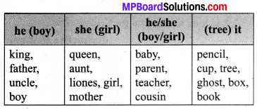 MP Board Class 7th General English Chapter 9 The White Visitor 2
