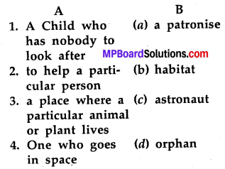 MP Board Class 8th Special English Annual Evaluation 1