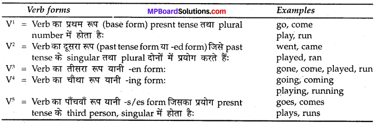 MP Board Class 8th Special English Grammar Time and Tense 2