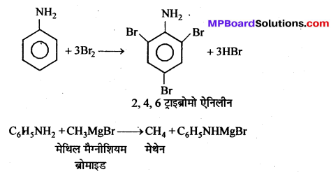 MP Board Class 12th Chemistry Solutions Chapter 13 ऐमीन - 133