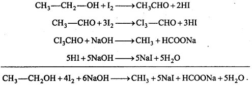 MP Board Class 12th Chemistry Important Questions Chapter 10 Haloalkanes and Haloarenes 29
