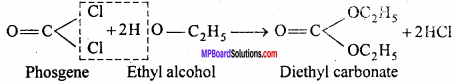 MP Board Class 12th Chemistry Important Questions Chapter 10 Haloalkanes and Haloarenes 44