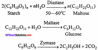 MP Board Class 12th Chemistry Important Questions Chapter 11 Alcohols, Phenols and Ethers 14