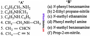 MP Board Class 12th Chemistry Important Questions Chapter 13 Amines 4