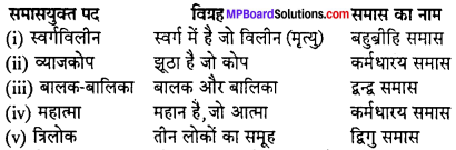 MP Board Class 12th Hindi Swati Solutions गद्य Chapter 9 खेल img-1