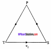 MP Board Class 11th Maths Important Questions Chapter 11 Conic Sections 16