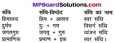 Class 10th Hindi Mp Board Solution MP Board Chapter 17