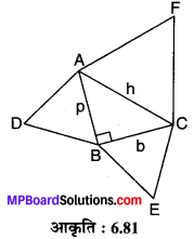 MP Board Class 10th Maths Solutions Chapter 6 त्रिभुज Additional Questions 19