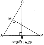 MP Board Class 10th Maths Solutions Chapter 6 त्रिभुज Ex 6.3 16