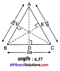 MP Board Class 10th Maths Solutions Chapter 6 त्रिभुज Ex 6.5 5