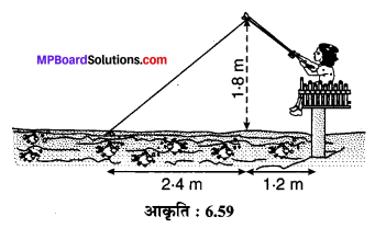 MP Board Class 10th Maths Solutions Chapter 6 त्रिभुज Ex 6.6 13