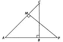 MP Board Class 10th Maths Solutions Chapter 6 Triangles Ex 6.3 14