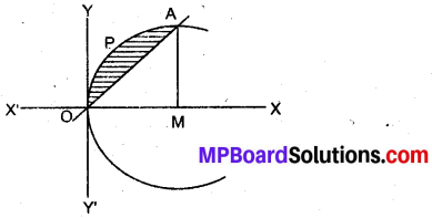 MP Board Class 12th Maths Book Solutions Chapter 8 समाकलनों के अनुप्रयोग Ex 8.2 13