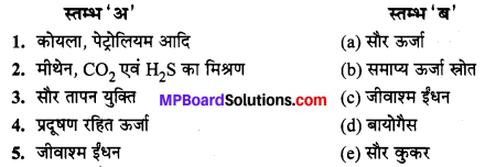 MP Board Class 10th Science Solutions Chapter 14 उर्जा के स्रोत 2