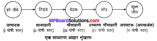 MP Board Class 10th Science Solutions Chapter 15 हमारा पर्यावरण 1