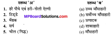 MP Board Class 10th Science Solutions Chapter 15 हमारा पर्यावरण 3