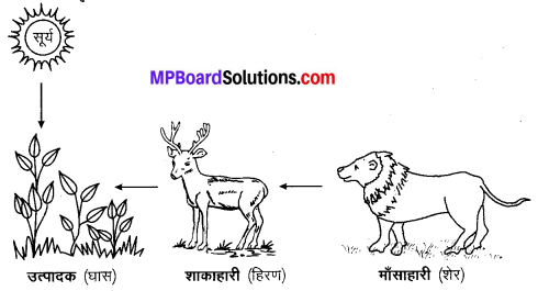 MP Board Class 10th Science Solutions Chapter 15 हमारा पर्यावरण 6