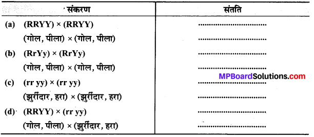 MP Board Class 10th Science Solutions Chapter 9 अनुवांशिकता एवं जैव विकास 10