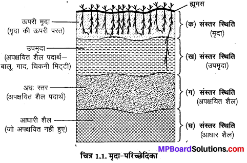 MP Board Class 10th Social Science Book Solutions Chapter 1 भारत के संसाधन I 2