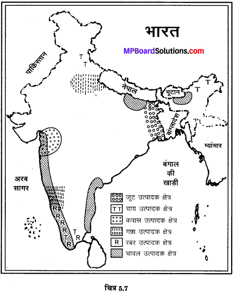 MP Board Class 10th Social Science Solutions Chapter 5 मानचित्र पठन एवं अंकन 11