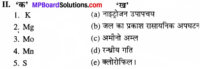 MP Board Class 11th Biology Solutions Chapter 12 खनिज पोषण - 3