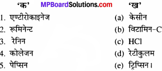 MP Board Class 11th Biology Solutions Chapter 16 पाचन एवं अवशोषण - 1