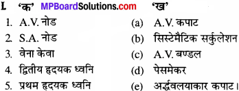 MP Board Class 11th Biology Solutions Chapter 18 शरीर द्रव तथा परिसंचरण - 1