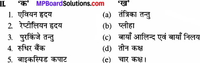 MP Board Class 11th Biology Solutions Chapter 18 शरीर द्रव तथा परिसंचरण - 2