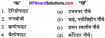 MP Board Class 11th Biology Solutions Chapter 3 वनस्पति जगत - 5